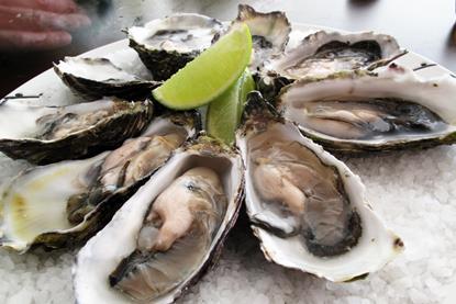 Pacific oysters