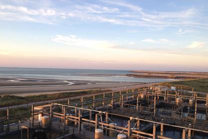 Gloria Maris seabream and seabass farm
