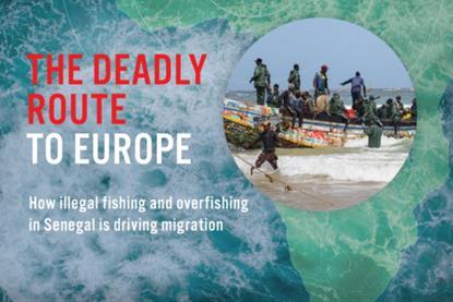 Image of a report by EJF about illegal fishing and overfishing in Senegal