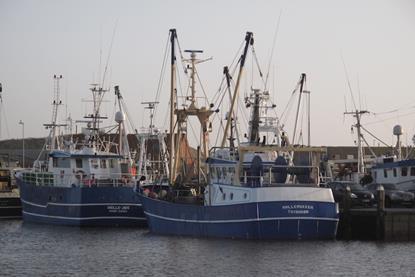 European fishing vessels