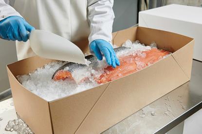 Salmon packaging