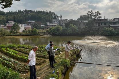 Examination of grass carp pond in China