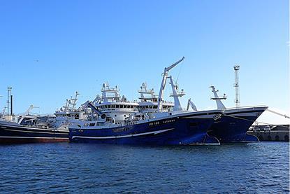 Scottish pelagic boats