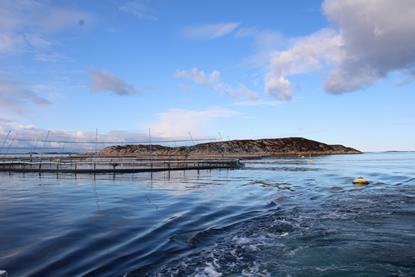 Norcod farming site