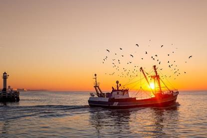 Belgium fishing boat