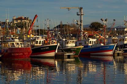 Small-scale fishing vessels on France's Atlantic coast