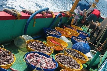 India fishing