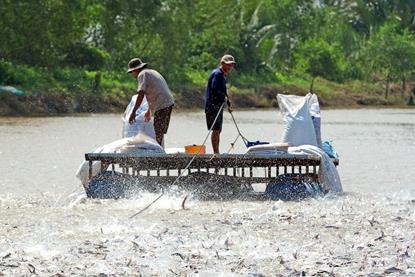 Fishermen in the Mekong delta in Vietnam