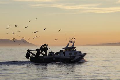 Mediterranean fishing