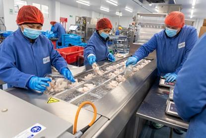 UK seafood processing