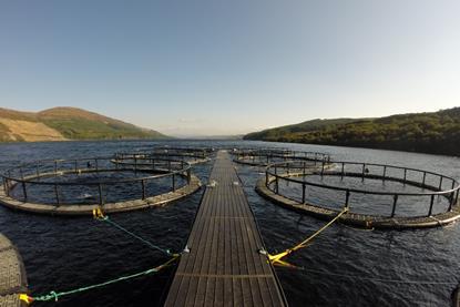 Scottish Sea Farms’ Loch Frisa site