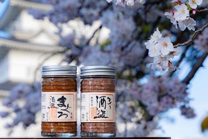 Shuto cherry blossoms Odawara Castle