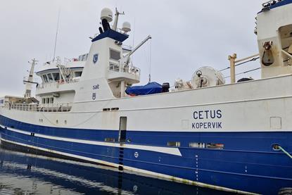 FHF/Cetus