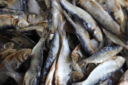 The picture shows dried herring