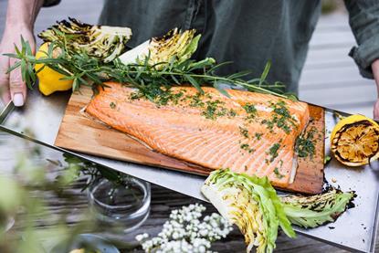 Norwegian salmon