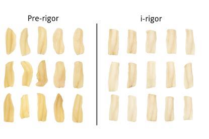 The image compares discoloured fish frozen too early to fish frozen post rigor mortis