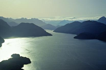The SFF has approved funding for aquaculture projects for the first time. Credit: Aquaculture New Zealand