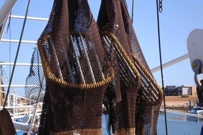 Australia Northern Prawn - Turtle Exclusion Devices