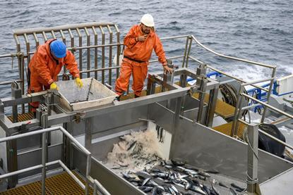 Chile fisheries