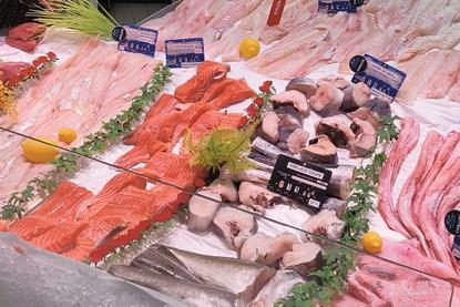 Fish market in France