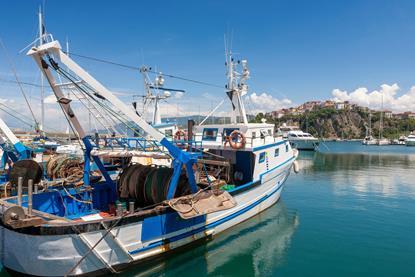 Fishing trawler moored in harbour, Agropoli, Campania, Italy
