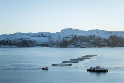 salmon pens at sea with low snow-capped mountains behind