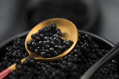 Caviar