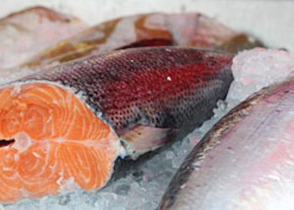 Salmon sales