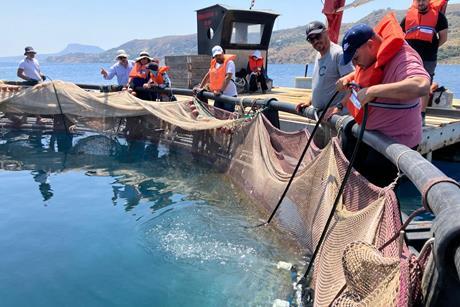 Participants received hands-on training in daily fish farm operations, including feeding, biomass monitoring, harvesting, and net cleaning ©FAO-GFCM_ Georgios Paximadis