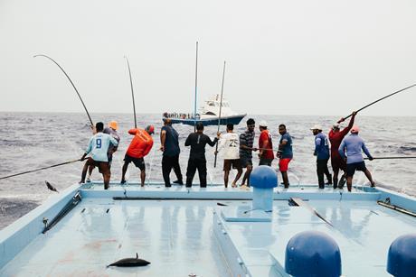 Pole and line fishing