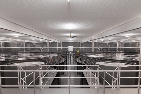 land-based aquaculture technology