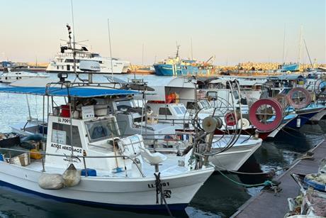 Small fishing boats lined up at a pontoon
