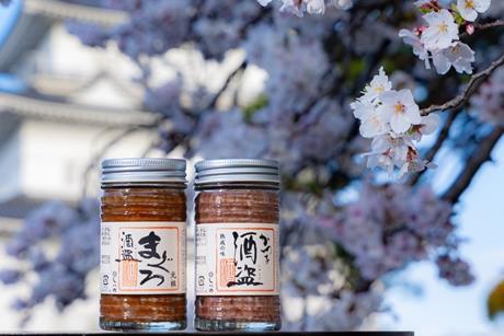Shuto cherry blossoms Odawara Castle