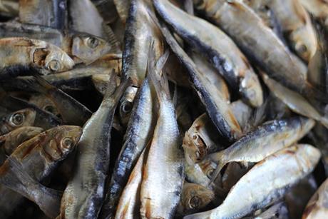 The picture shows dried herring