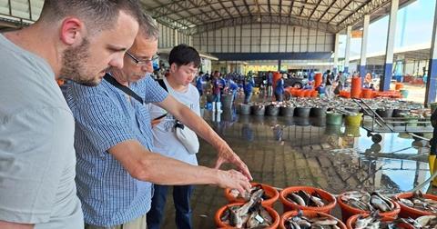 Dr Timothy Wiese, Professor Dave Little and Arnan Hirunratanakorn conducting observational research at a wholesale fish market in Thailand