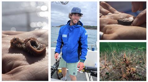 Dr Ben Harris, University of Exeter, and Brittle Star