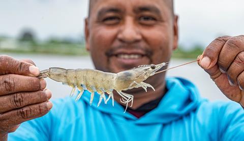 A farmer in Ecuador holds a shrimp