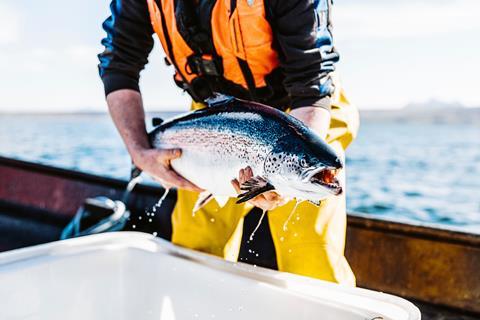©ScottishSeaFarms Summer Isles salmon April 2022
