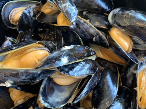 UK mussels