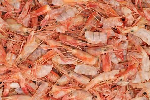 Shrimp heads