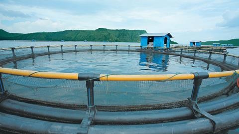 Benchmark.lakeGrownTilapia (002)[1]