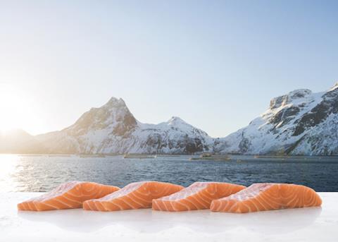 Norwegian salmon