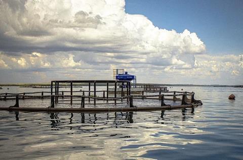 The investment will allow Tilabras to undertake its growth plan