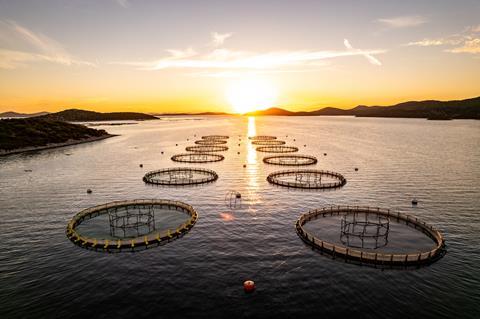 European aquaculture