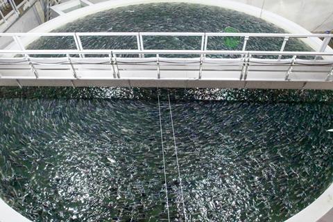 An aquaculture cage