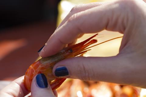 Hand with blue-painted nails holding a prawn