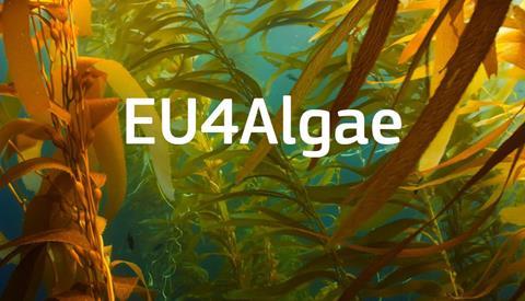 eu4algae_image1