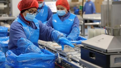seafood processing workers