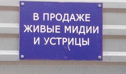 “Live mussels and oysters for sale”