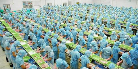 Seafood processing in Vietnam